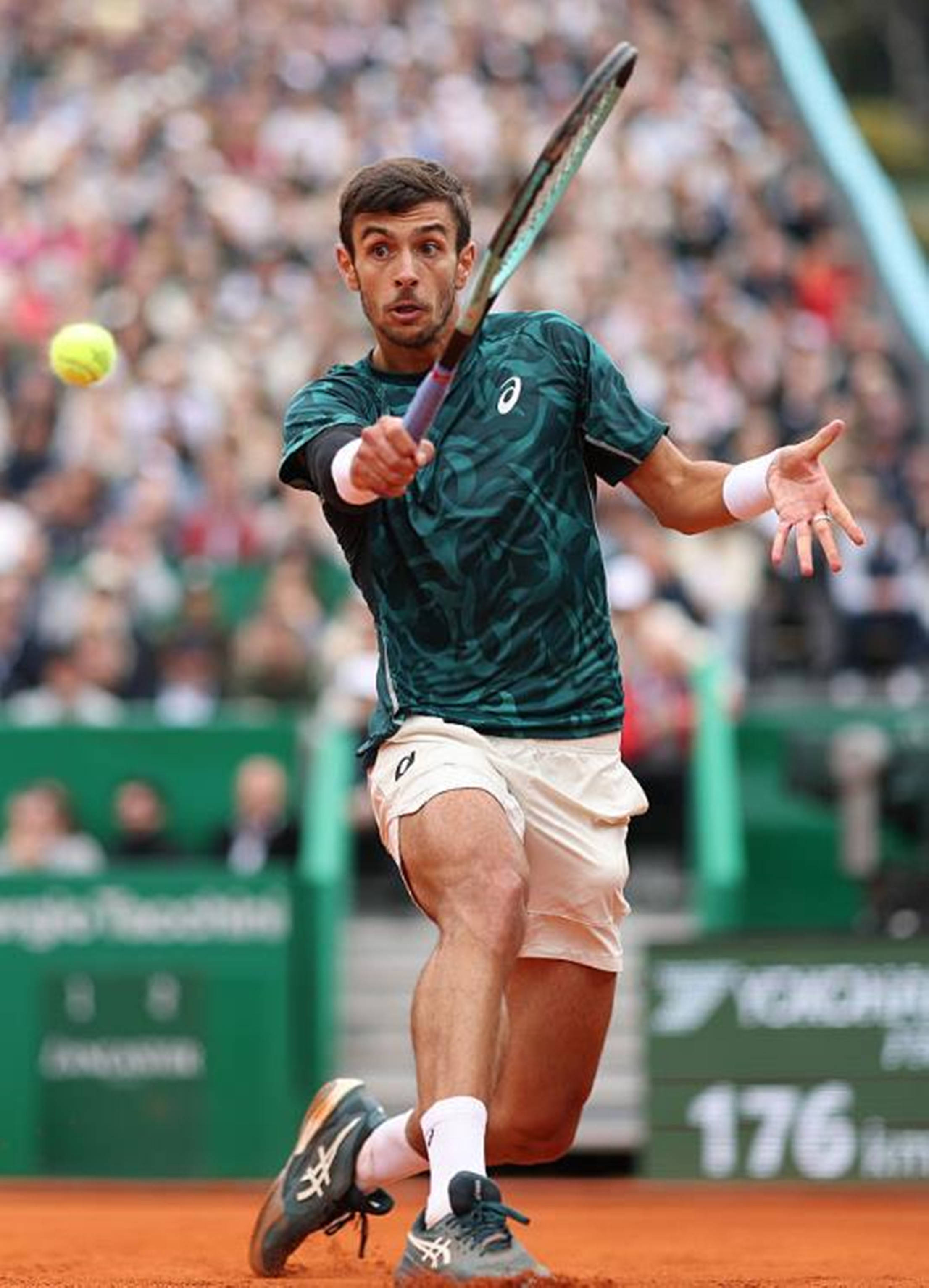 中国足球迎 中国足球迎